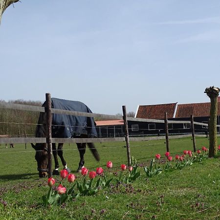 De Tulp Bed & Breakfast Noordgouwe Bagian luar foto