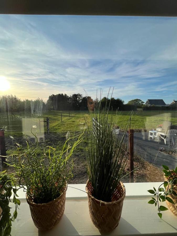 De Tulp Bed & Breakfast Noordgouwe Bagian luar foto