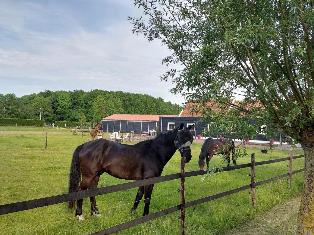 De Tulp Bed & Breakfast Noordgouwe Bagian luar foto