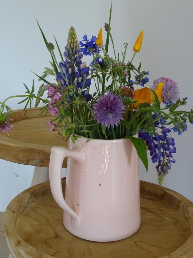 De Tulp Bed & Breakfast Noordgouwe Bagian luar foto