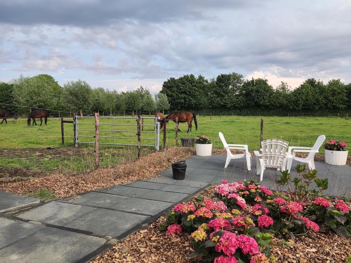 De Tulp Bed & Breakfast Noordgouwe Bagian luar foto