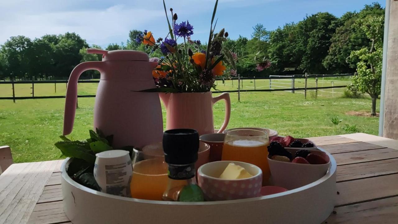 De Tulp Bed & Breakfast Noordgouwe Bagian luar foto