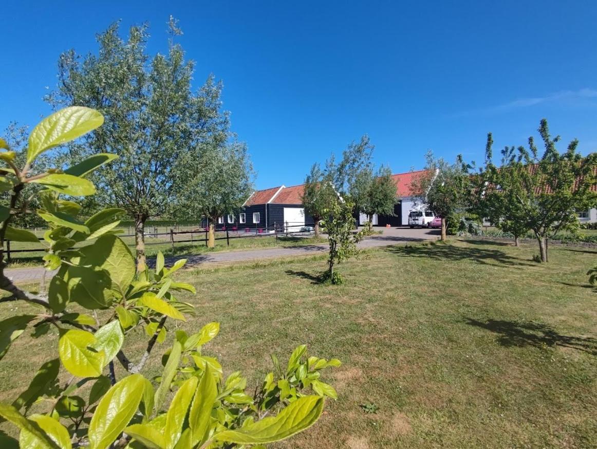 De Tulp Bed & Breakfast Noordgouwe Bagian luar foto