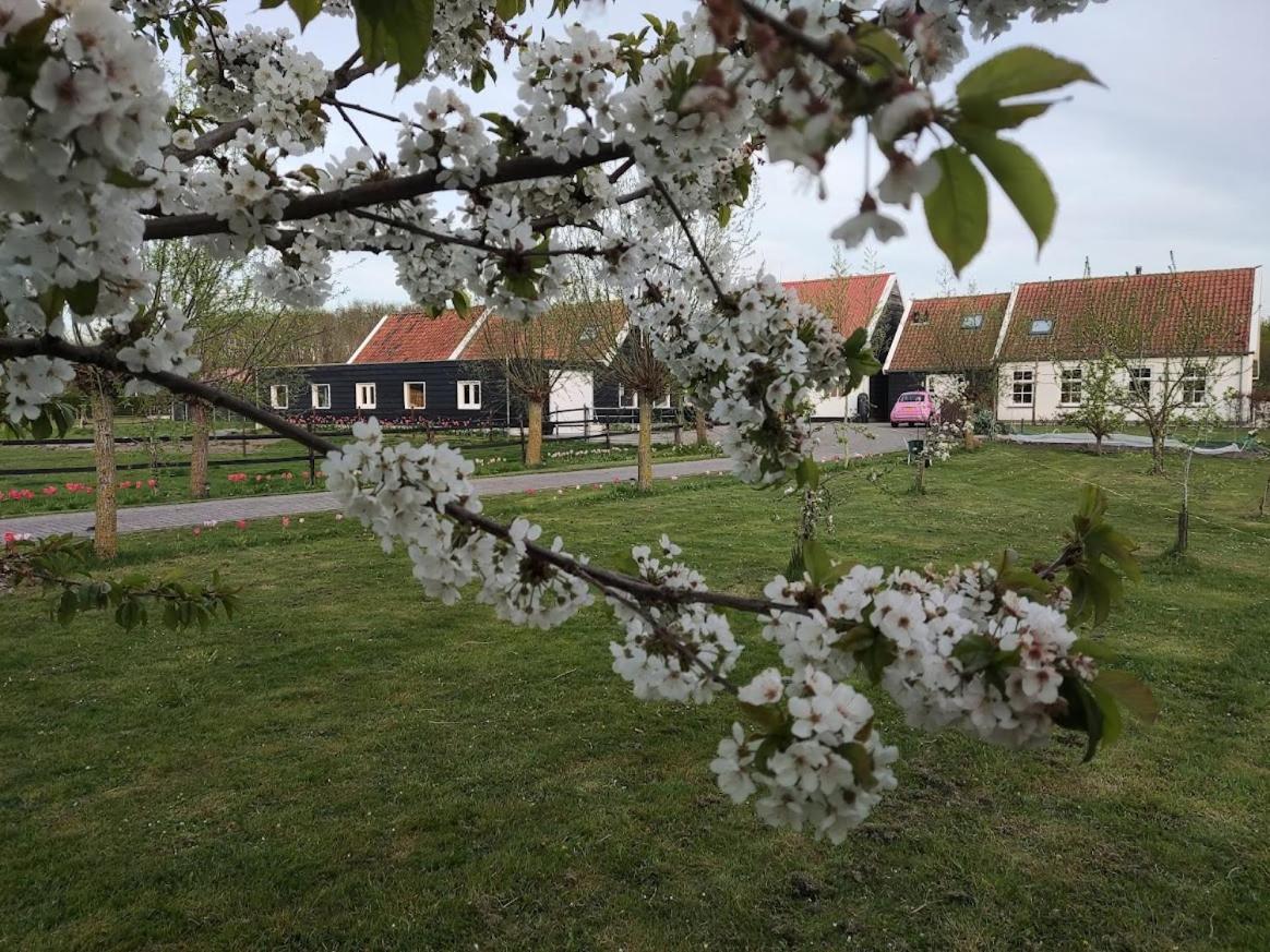 De Tulp Bed & Breakfast Noordgouwe Bagian luar foto